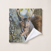 Cerf écureuil (Gant de toilette)