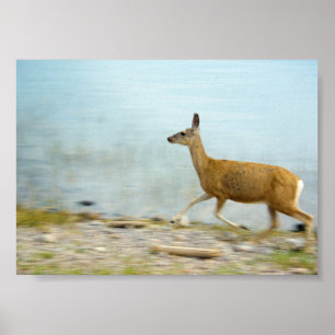 Cerf en course Impression