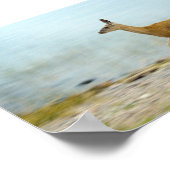 Cerf en course Impression (Coin)