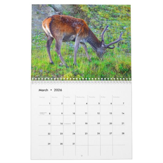 Cerf en Écosse - Calendrier (Mar 2026)
