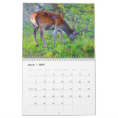 Cerf en Écosse - Calendrier (Mar 2027)