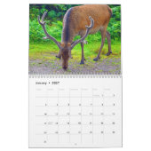 Cerf en Écosse - Calendrier (Jan 2027)