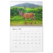 Cerf en Écosse - Calendrier (Feb 2027)