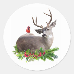 Cerf et cardinal avec Stickers Holly