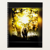 Cerf étonnant 01 (Devant)