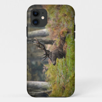 Cerf in het bos van Fontainebleau iPhone 11 Hoesje