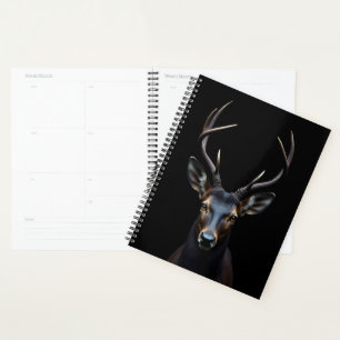 Cerf noir