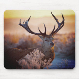 Cerf Rouge au Petit Matin, Tapis de Souris