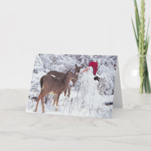 Cerfs communs avec la carte de bonhomme de neige