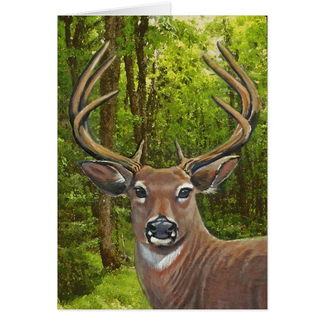 Cerfs communs dans le pré de cendre (Devant)