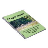 Cerfs communs en journal de prière de Forestland (Côté Droit)