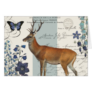 cerfs communs vintages modernes de région boisée