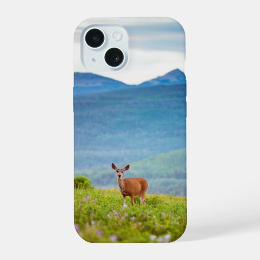 Cerfs et montagnes (Verso)
