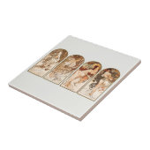 Ceric TEGEL : Alfonons MUCHA : de zintuigen Tegeltje (Zijkant)