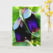CERINTHE NOTECARD/BLANCO KAART (Gele Bloem)