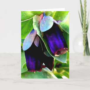 CERINTHE NOTECARD/BLANK KAART