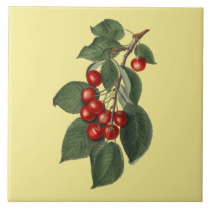 Cerises ~ Carreau Botanique ~ Cuisine ~ Toute Coul