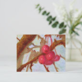 Cerises, carte postale (Debout devant)