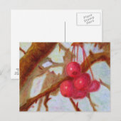 Cerises, carte postale (Devant / Derrière)