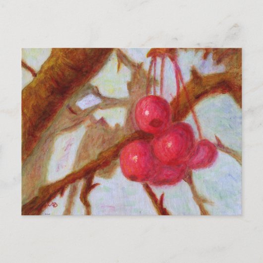 Cerises, carte postale (Devant)