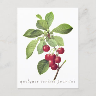 Cerises pour vous Carte postale