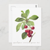Cerises pour vous Carte postale (Devant / Derrière)