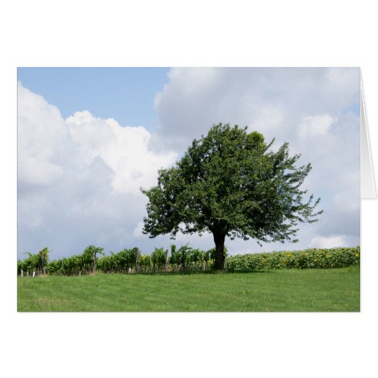 Cerisier en été (Devant horizontal)