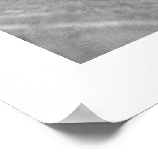 Cerné Poster (Hoek)