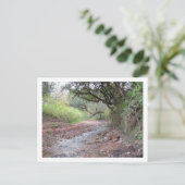 cerrocolorado briefkaart (Staand voorkant)