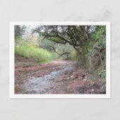 cerrocolorado briefkaart (Voorkant)