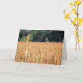Certaines Atteignent une carte de plus grande haut (Fleur jaune)