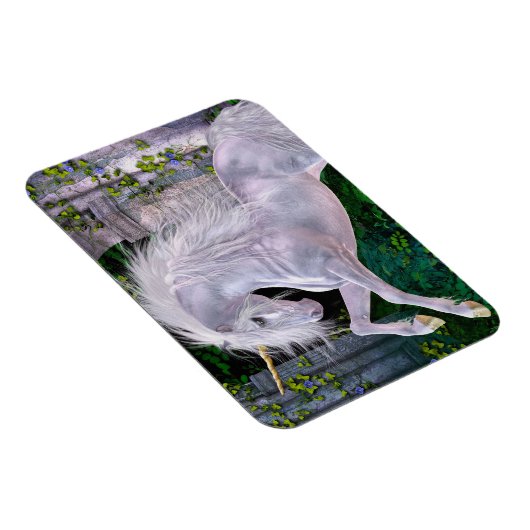 Certains Enchantés Soirée Flexi Magnet (Côté Droit)