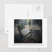Certains jours, tu es la carte postale Pigeon (Devant / Derrière)