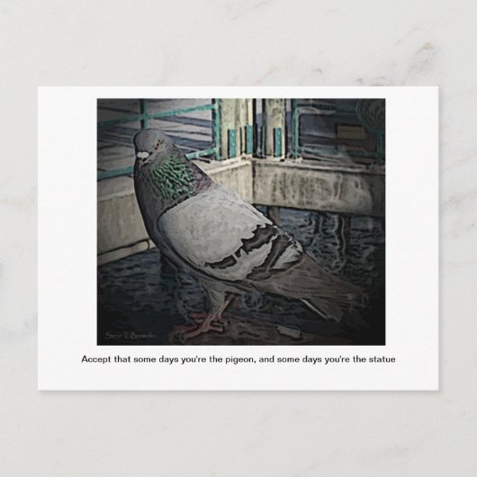 Certains jours, tu es la carte postale Pigeon (Devant)