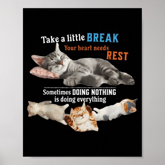 Certified Nap Expert Funny Lazy Cat Meme Cat Moms  Poster (Voorkant)