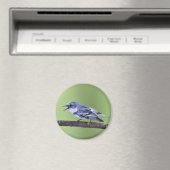 Cerulean Warbler Magneet (Insitu (Vaatwasser))