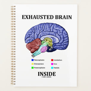 Cerveau épuisé à l'intérieur de l'Humour cérébral