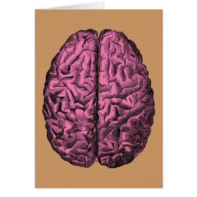Cerveau humain d'anatomie (Devant)