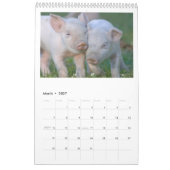 Ces porcelets - calendrier mural de 2017 animaux (Mar 2027)