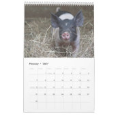 Ces porcelets - calendrier mural de 2017 animaux (Feb 2027)