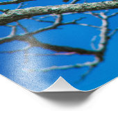 CES YEUX 36 X 24 Kodak Pro Photo (Coin)