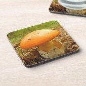 Césarée Amanita Champignons Dessous de verre en pl (Côté gauche)