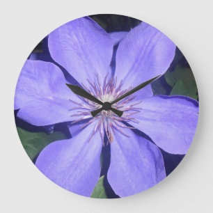 Césarine Grote Klok