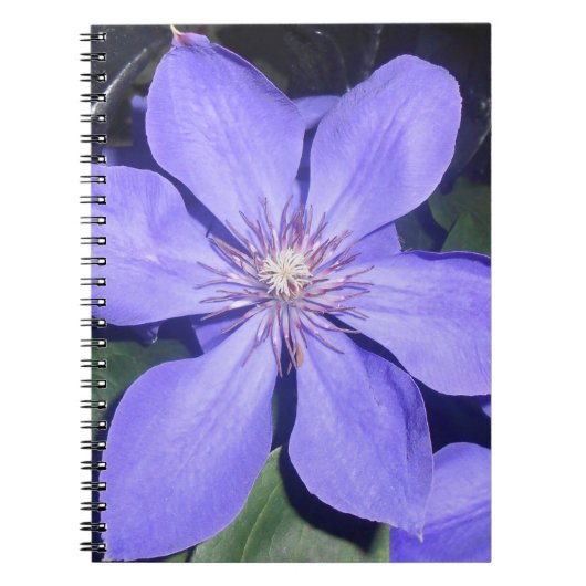 Césarine Notitieboek (Voorkant)