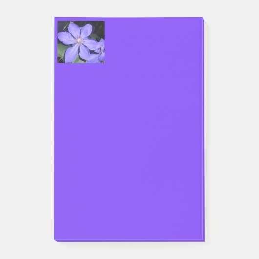 Césarine Post-it® Notes (Voorkant)