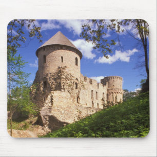 Cesis Castle in het centrum van Letland. Muismat