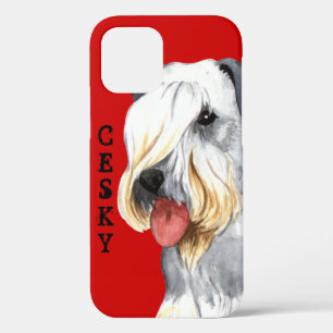Cesky Terrier Color Block iPhone 12 Hoesje