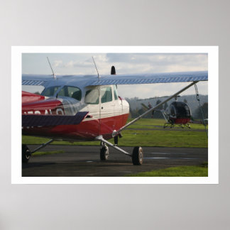 Cessna 172 en Schweizer 300C Poster