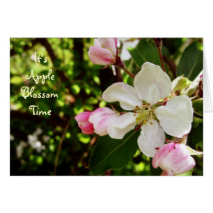 C'est AppleBlossom Time