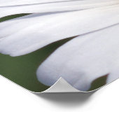 C'est bien avec mon Soul Offset Daisy Poster (Coin)